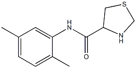  N-(2,5-dimethylphenyl)-1,3-thiazolidine-4-carboxamide