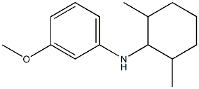 N-(2,6-dimethylcyclohexyl)-3-methoxyaniline Struktur