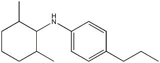 N-(2,6-dimethylcyclohexyl)-4-propylaniline Struktur