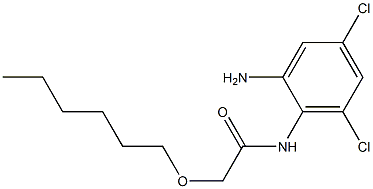 N-(2-amino-4,6-dichlorophenyl)-2-(hexyloxy)acetamide Struktur