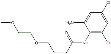 N-(2-amino-4,6-dichlorophenyl)-4-(2-methoxyethoxy)butanamide 结构式