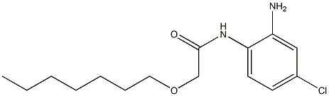 N-(2-amino-4-chlorophenyl)-2-(heptyloxy)acetamide 化学構造式