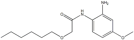 N-(2-amino-4-methoxyphenyl)-2-(hexyloxy)acetamide,,结构式