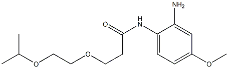 N-(2-amino-4-methoxyphenyl)-3-[2-(propan-2-yloxy)ethoxy]propanamide
