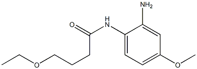 N-(2-amino-4-methoxyphenyl)-4-ethoxybutanamide Structure