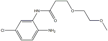 N-(2-amino-5-chlorophenyl)-3-(2-methoxyethoxy)propanamide Structure