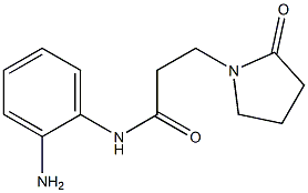 N-(2-aminophenyl)-3-(2-oxopyrrolidin-1-yl)propanamide Struktur