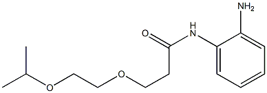 N-(2-aminophenyl)-3-[2-(propan-2-yloxy)ethoxy]propanamide Struktur