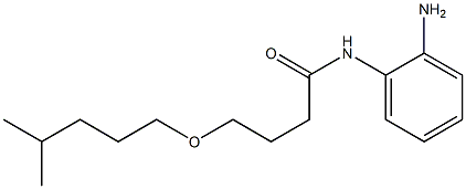 N-(2-aminophenyl)-4-[(4-methylpentyl)oxy]butanamide Structure