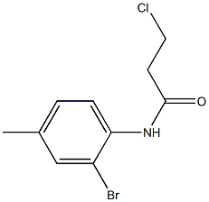 N-(2-bromo-4-methylphenyl)-3-chloropropanamide