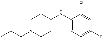 N-(2-chloro-4-fluorophenyl)-1-propylpiperidin-4-amine Struktur