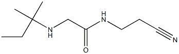 N-(2-cyanoethyl)-2-[(2-methylbutan-2-yl)amino]acetamide Structure