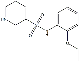 N-(2-ethoxyphenyl)piperidine-3-sulfonamide 化学構造式