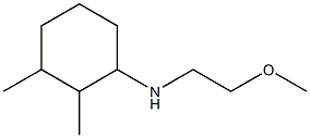  N-(2-methoxyethyl)-2,3-dimethylcyclohexan-1-amine