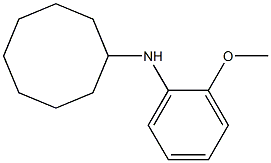 N-(2-methoxyphenyl)cyclooctanamine Struktur