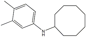 N-(3,4-dimethylphenyl)cyclooctanamine Structure