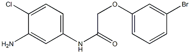 N-(3-amino-4-chlorophenyl)-2-(3-bromophenoxy)acetamide 化学構造式