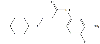  N-(3-amino-4-fluorophenyl)-3-[(4-methylcyclohexyl)oxy]propanamide