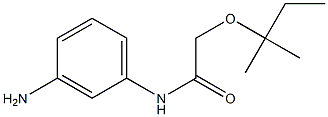 N-(3-aminophenyl)-2-[(2-methylbutan-2-yl)oxy]acetamide 结构式