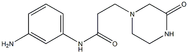 N-(3-aminophenyl)-3-(3-oxopiperazin-1-yl)propanamide Struktur