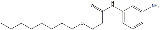 N-(3-aminophenyl)-3-(octyloxy)propanamide Structure