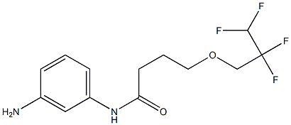 N-(3-aminophenyl)-4-(2,2,3,3-tetrafluoropropoxy)butanamide 化学構造式