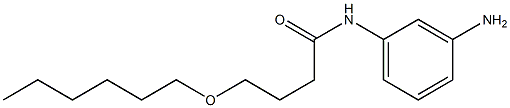 N-(3-aminophenyl)-4-(hexyloxy)butanamide Structure