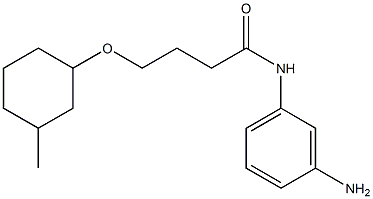 N-(3-aminophenyl)-4-[(3-methylcyclohexyl)oxy]butanamide Struktur