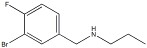 N-(3-bromo-4-fluorobenzyl)-N-propylamine Structure