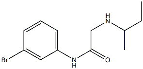 N-(3-bromophenyl)-2-(butan-2-ylamino)acetamide,,结构式