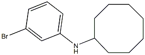 N-(3-bromophenyl)cyclooctanamine Structure