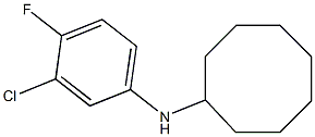 N-(3-chloro-4-fluorophenyl)cyclooctanamine Struktur