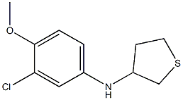 N-(3-chloro-4-methoxyphenyl)thiolan-3-amine Structure