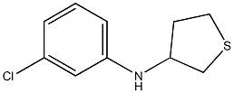 N-(3-chlorophenyl)thiolan-3-amine Structure
