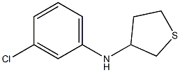 N-(3-chlorophenyl)thiolan-3-amine 化学構造式