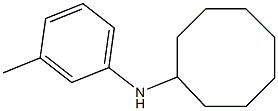 N-(3-methylphenyl)cyclooctanamine Structure