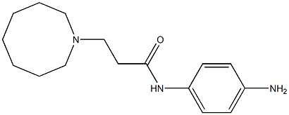 N-(4-aminophenyl)-3-(azocan-1-yl)propanamide,,结构式