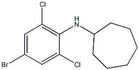 N-(4-bromo-2,6-dichlorophenyl)cycloheptanamine Struktur