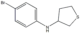 N-(4-bromophenyl)thiolan-3-amine