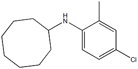 N-(4-chloro-2-methylphenyl)cyclooctanamine 化学構造式