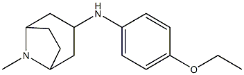 N-(4-ethoxyphenyl)-8-methyl-8-azabicyclo[3.2.1]octan-3-amine,,结构式