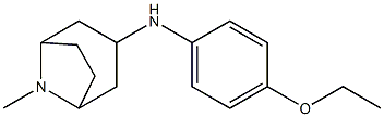  N-(4-ethoxyphenyl)-8-methyl-8-azabicyclo[3.2.1]octan-3-amine