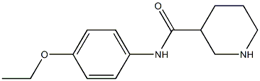 N-(4-ethoxyphenyl)piperidine-3-carboxamide Structure