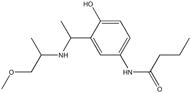 N-(4-hydroxy-3-{1-[(1-methoxypropan-2-yl)amino]ethyl}phenyl)butanamide Structure