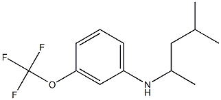N-(4-methylpentan-2-yl)-3-(trifluoromethoxy)aniline,,结构式