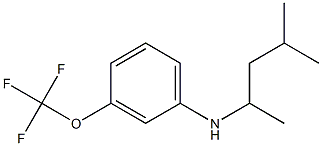  N-(4-methylpentan-2-yl)-3-(trifluoromethoxy)aniline