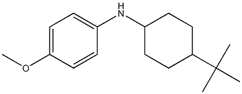 N-(4-tert-butylcyclohexyl)-4-methoxyaniline,,结构式