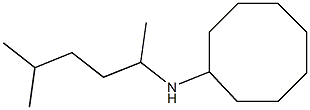 N-(5-methylhexan-2-yl)cyclooctanamine,,结构式