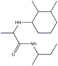 N-(butan-2-yl)-2-[(2,3-dimethylcyclohexyl)amino]propanamide 结构式