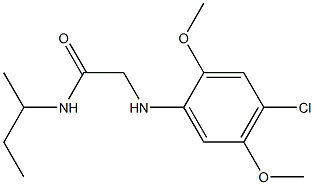 N-(butan-2-yl)-2-[(4-chloro-2,5-dimethoxyphenyl)amino]acetamide,,结构式